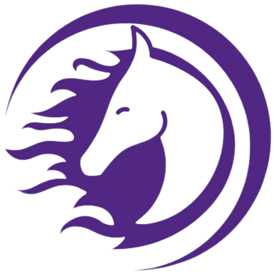 Sunstang Logo